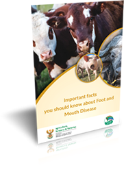 Important Facts About Foot & Mouth Disease And Related Information