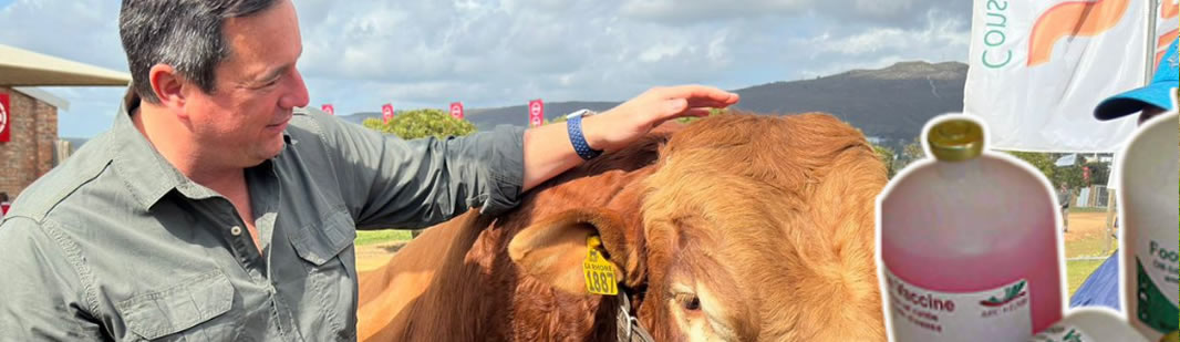 Minister Steenhuisen Ups The Ante In The Fight Against Foot And Mouth Disease