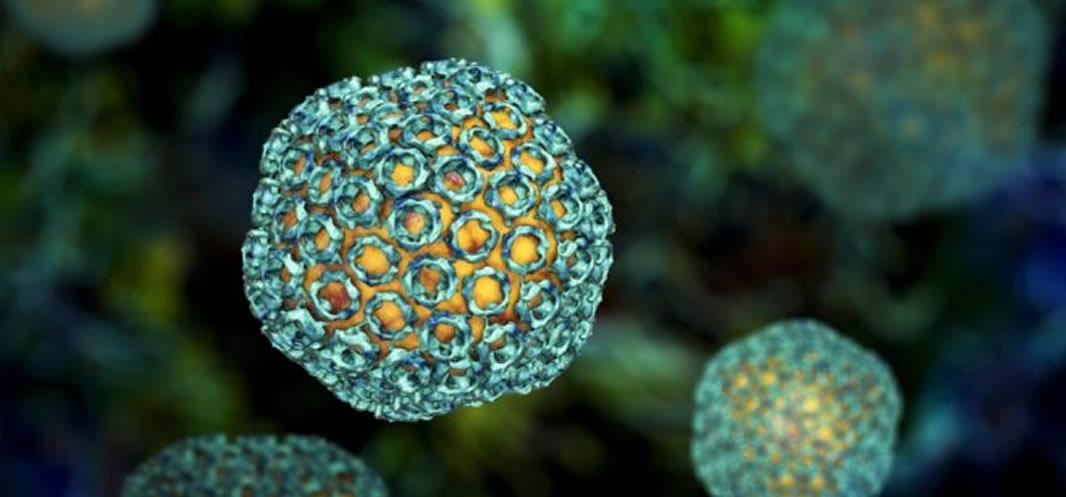 Confirmed Rift Valley Fever Outbreak In The Northern Cape