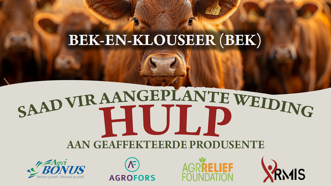 Saad vir aangeplante weiding aan geaffekteerde produsente