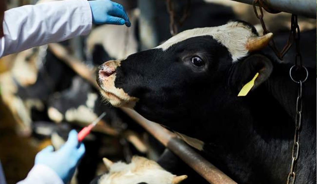 Eerste tasbare stap in regte rigting