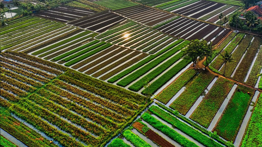 Implikasies van presidensiële toegewings in die reaksie op beëdigde verklaring