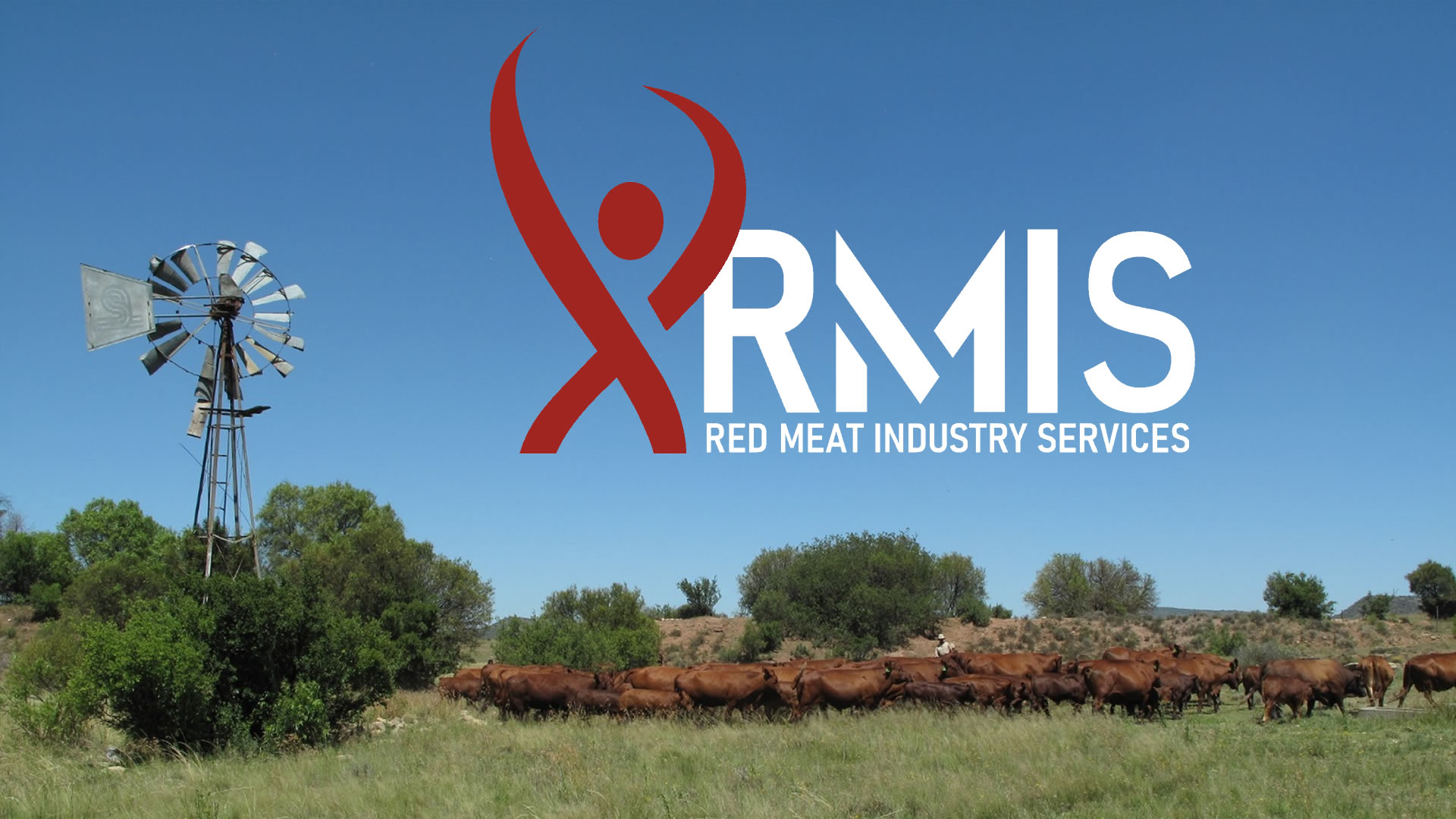 Agri Inspec Reports (November & December)