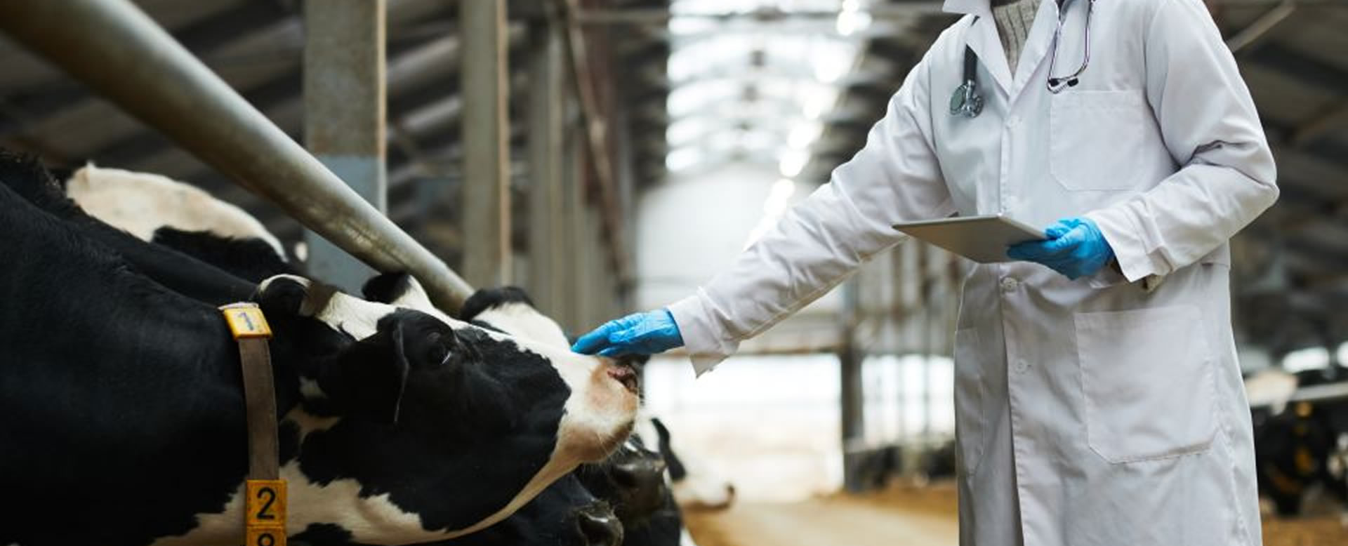 Taakspan nodig vir BKS-entstof