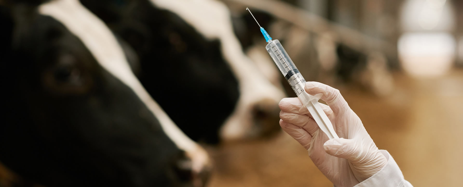 Wat is die huidige stand van entstowwe